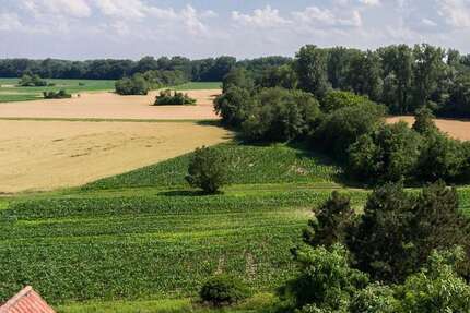 Grundstück zu verkaufen in Germersheim 250.000 € 502 m² zimmer