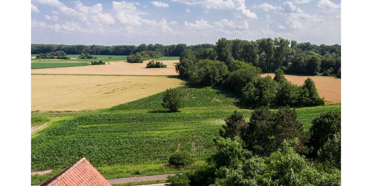 Grundstück zu verkaufen in Germersheim 250.000 € 502 m² zimmer