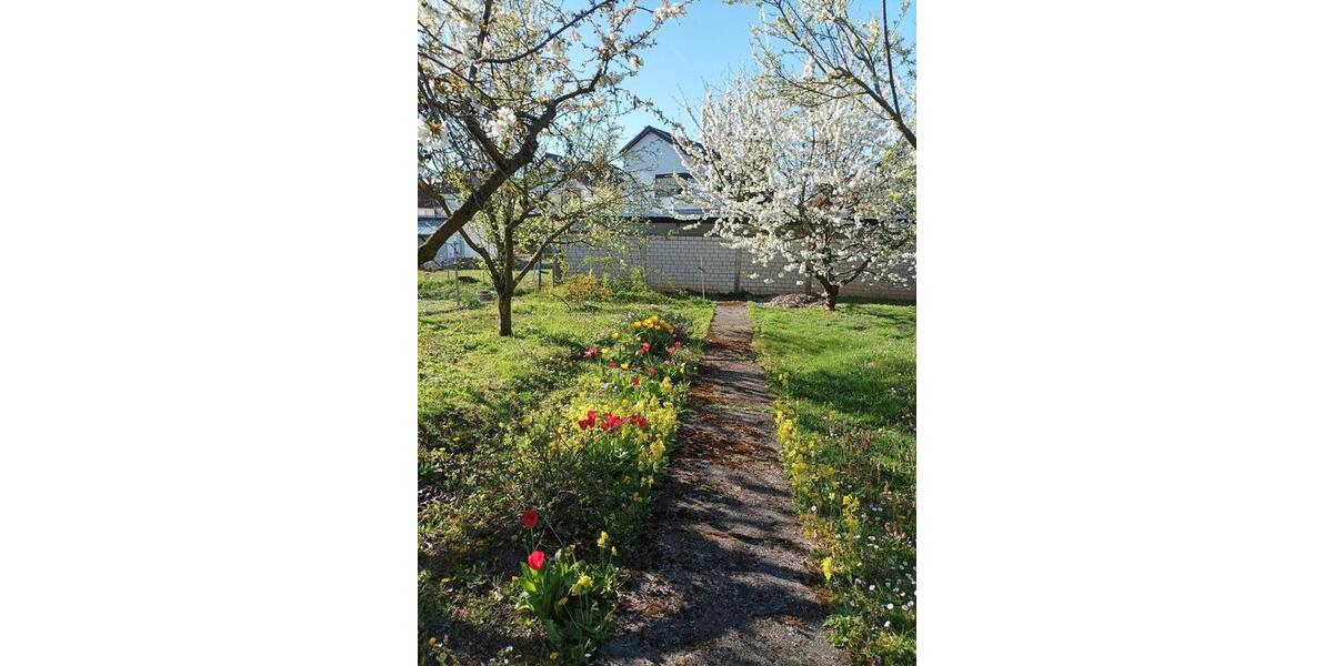 Einfamilienhaus Römerberg - 495.000&euro; | Angebot:26946416