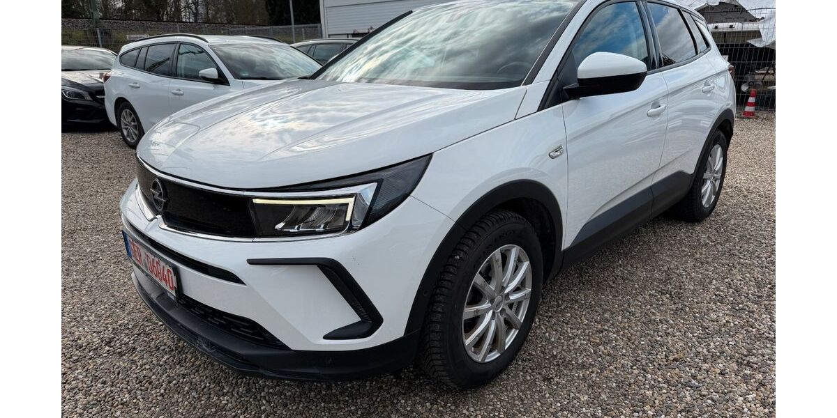 Opel Grandland (X) 183.117 km 13.031 &euro; Germersheim 76726