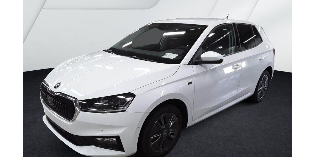 Skoda Fabia 21.665 km 21.930 &euro; Durmersheim 76448