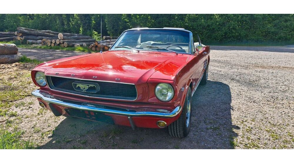 Mustang