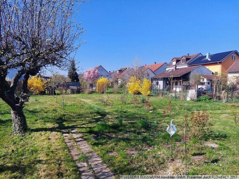 Einfamilienhaus Weingarten - 6 Zimmer, 111 m&sup2;, 600.000&euro; | Angebot:24435211