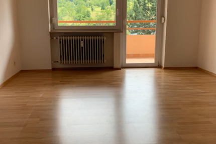 Große 1-Zimmer Wohnung mit traumhaftem Ausblick 1 zimmer