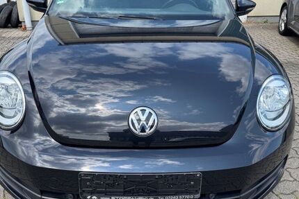 VW Beetle