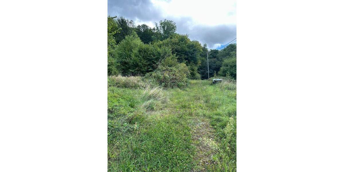 Traumgrundstück mit kleinem Wohn- und Wochenendhaus zimmer