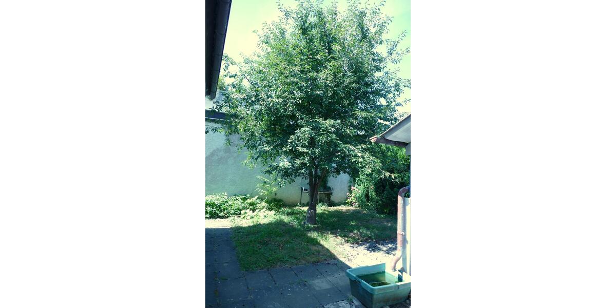 Einfamilienhaus Oberderdingen - 4.5 Zimmer, 121 m&sup2;, 295.000&euro; | Angebot:27263691