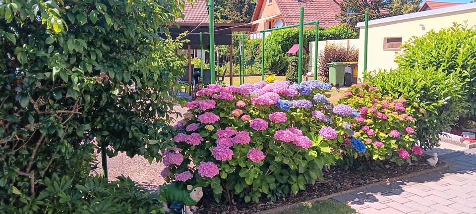 Mehrfamilienhaus, Wohnhaus Rastatt - 6 Zimmer, 200 m&sup2;, 650.000&euro; | Angebot:26906845