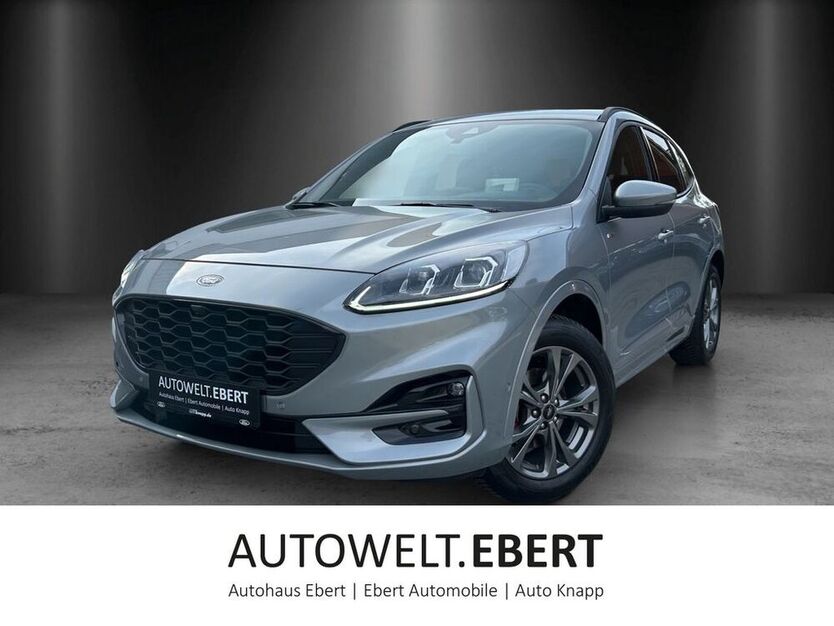 Kuga