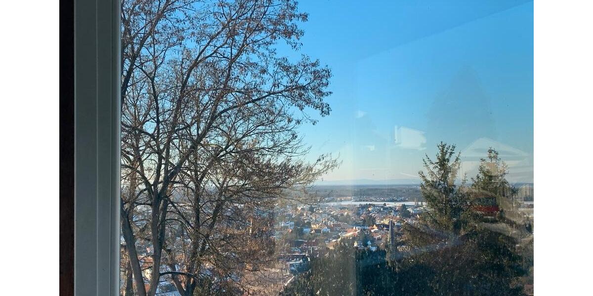 Villa Weingarten (Baden) - 1.900.000&euro; | Angebot:22581412