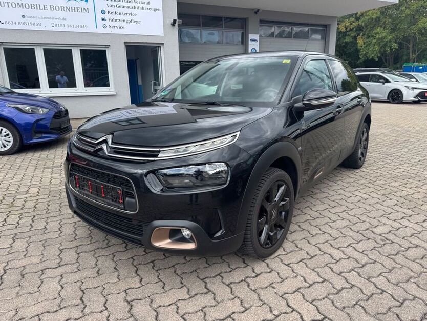 C4 Cactus