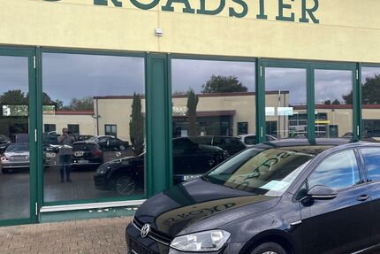 VW Golf 94.350 km 12.999 &euro; Landau 76829