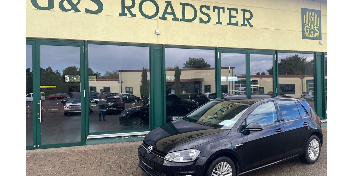 VW Golf 94.350 km 12.999 &euro; Landau 76829