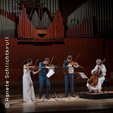 Konzert: NOVO Quartet aus Dänemark 16.11.2025 Festhalle Bad Rotenfels Gaggenau