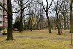 Etagenwohnung Karlsruhe Knielingen - 4 Zimmer, 81 m&sup2;, 348.000&euro; | Angebot:25864384