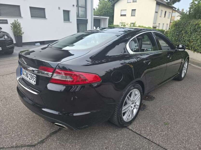 XF