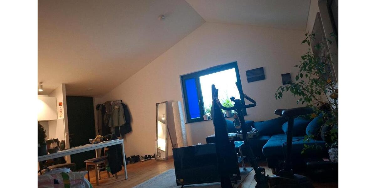 1 Appartment für 1 Monat März an Studentin 1 zimmer
