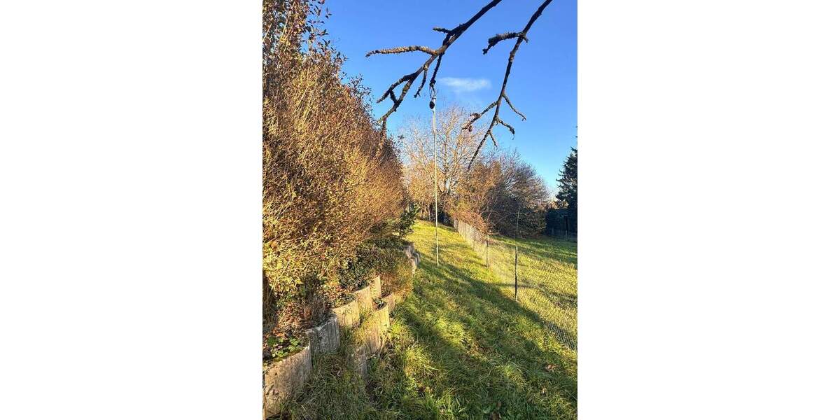 Grundstück Kämpfelbach Bilfingen - 24.000&euro; | Angebot:25728718