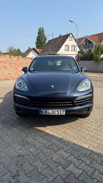 Cayenne