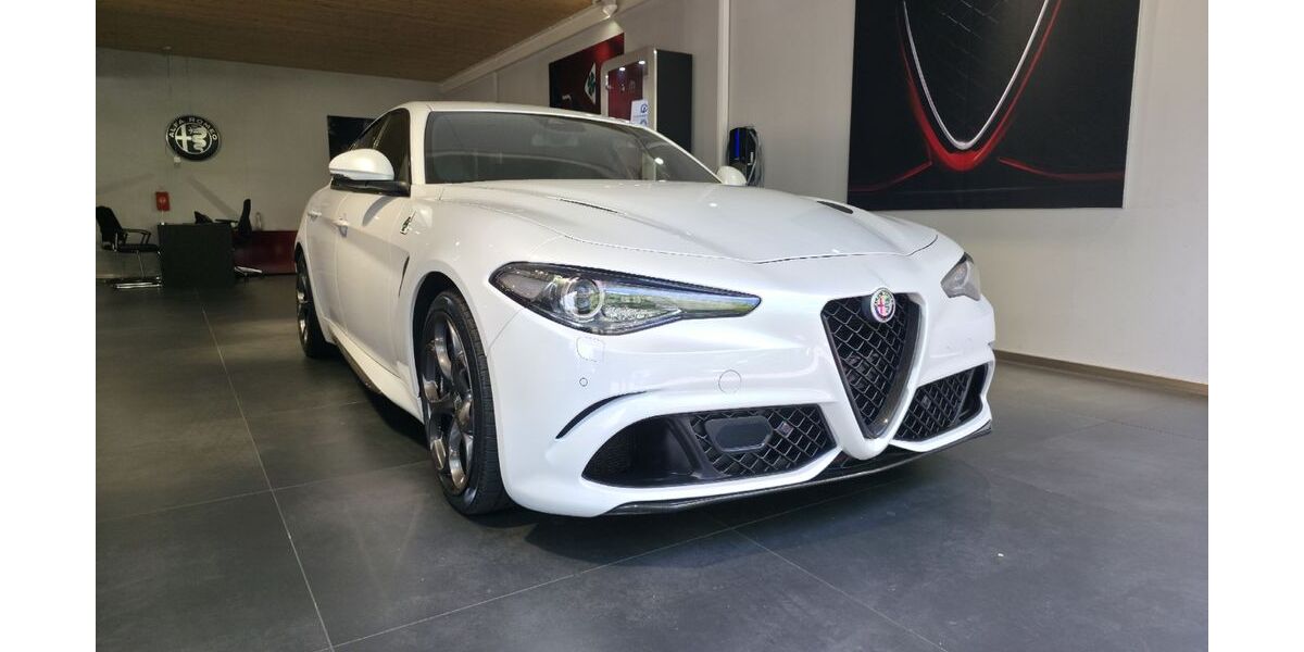 Alfa Romeo Giulia 88.690 km 61.900 &euro; Rastatt 76437
