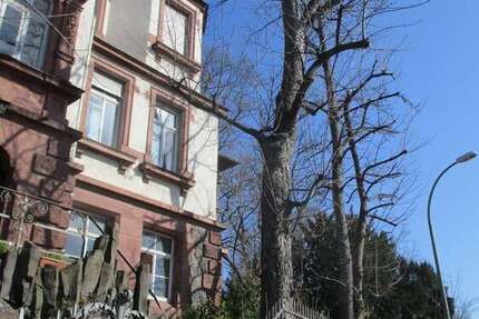 Wohnung Pforzheim Nordstadt - 4 Zimmer, 92 m&sup2;, 600&euro; | Angebot:27186229