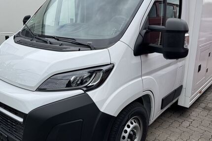 Opel Movano 1.499 km 64.990 &euro; Philippsburg 76661
