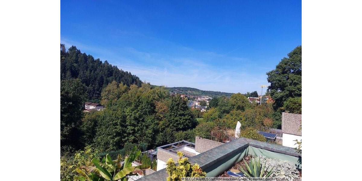 Terrassenwohnung mit großer Terrasse und tollem unverbaubarem Ausblick 4 zimmer