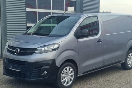 Opel Vivaro 33.000 km 19.998 € Landau 76829
