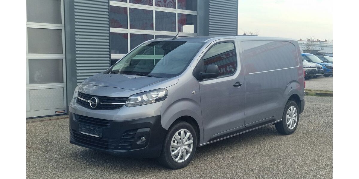 Opel Vivaro 33.000 km 19.998 € Landau 76829