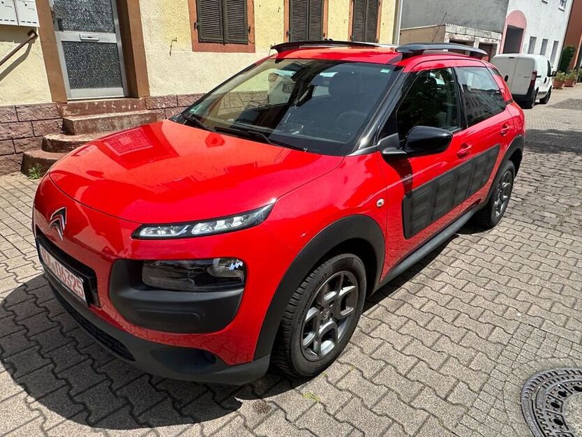 C4 Cactus