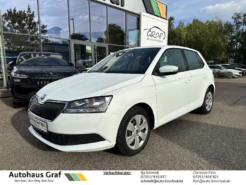 Skoda Fabia 58.700 km 10.990 € Bruchsal 76646