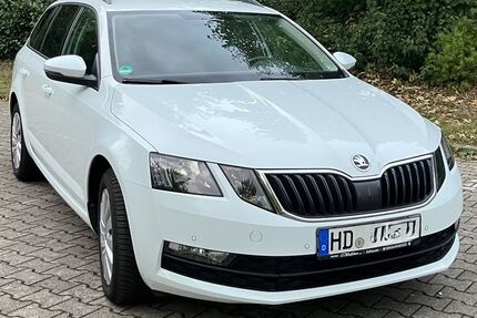 Skoda Octavia 152.000 km 9.490 € Bad Schönborn 76669