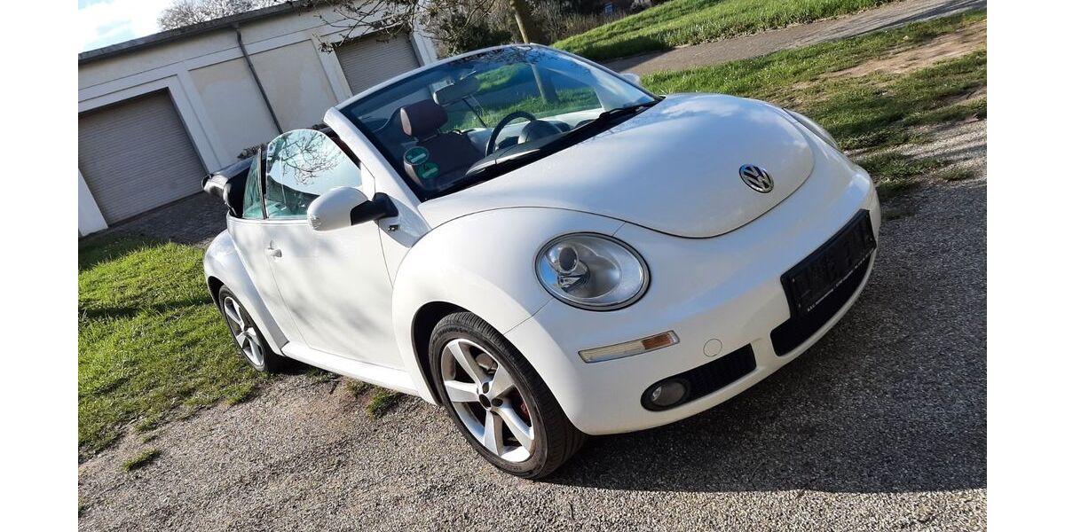 VW Beetle 207.000 km 2.500 &euro; Landau 76829